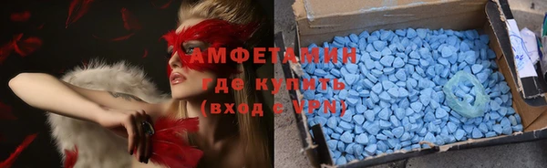 ПСИЛОЦИБИНОВЫЕ ГРИБЫ Верея