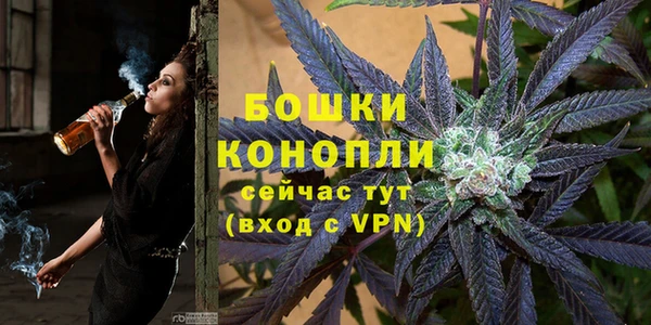 ПСИЛОЦИБИНОВЫЕ ГРИБЫ Верея