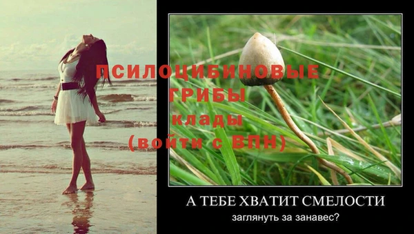 дживик Верхний Тагил