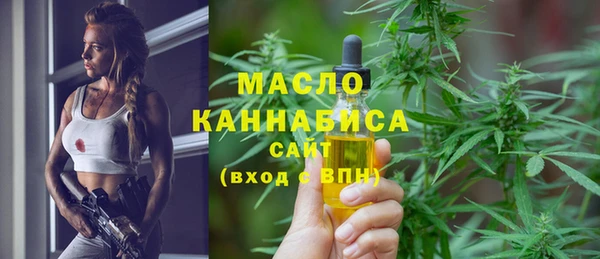 дживик Верхний Тагил
