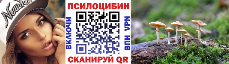 кракен как зайти  Вольск  Галлюциногенные грибы MAGIC MUSHROOMS  даркнет сайт 