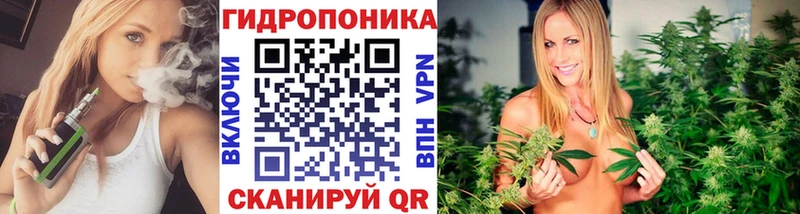 Бошки Шишки план  наркошоп  Вольск 